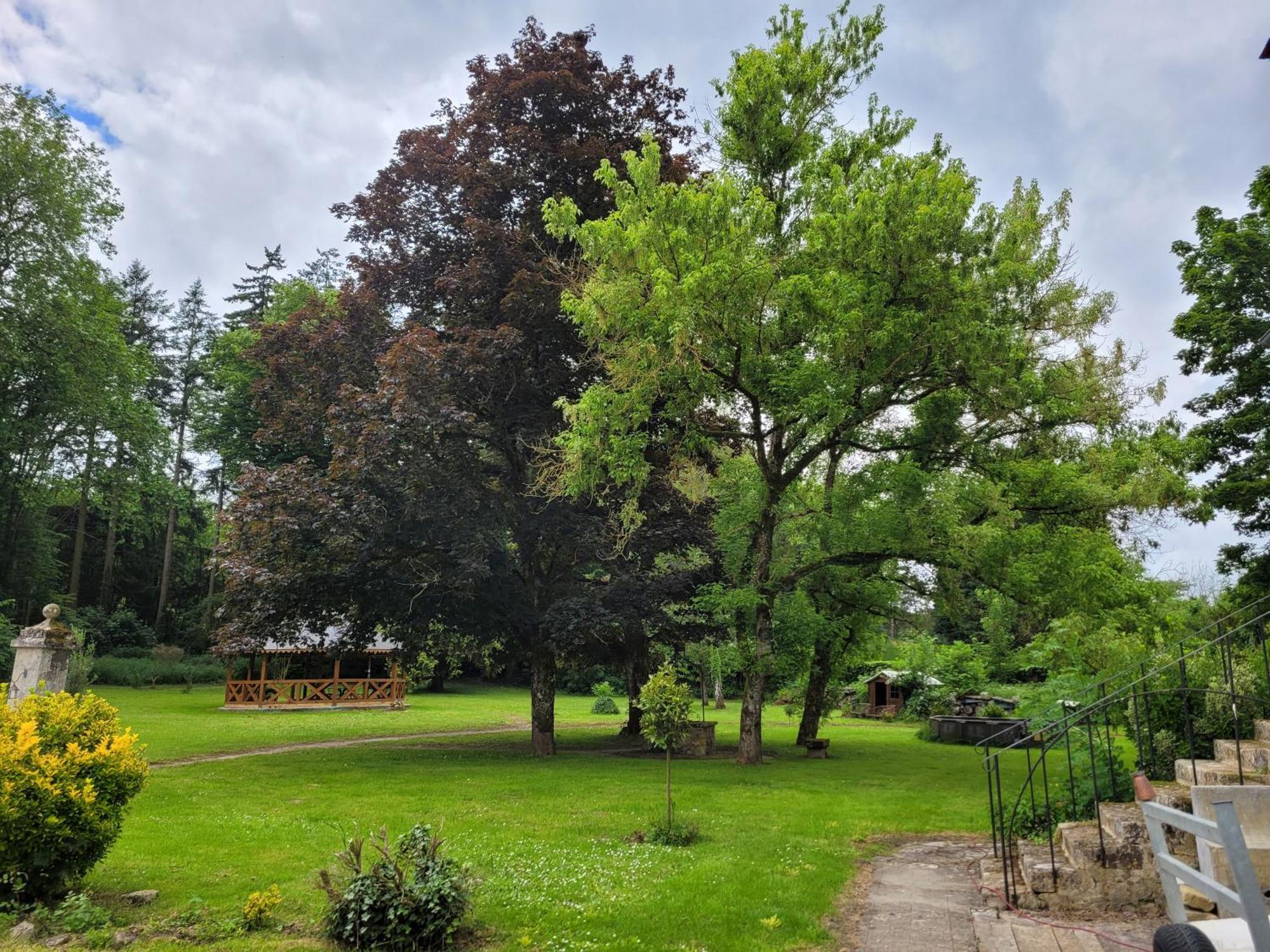 Le Manoir Paradi Presles-et-Thierny Экстерьер фото